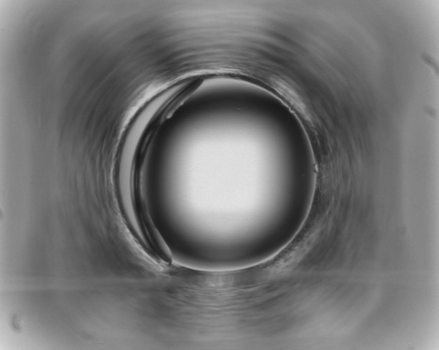X0000096460797200801241406
