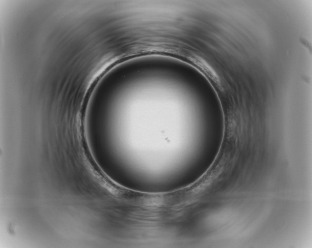 X0000096460798200801241406