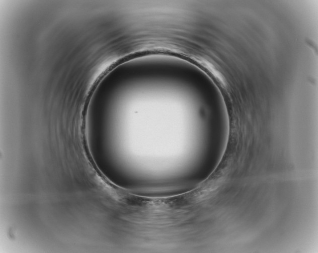 X0000096460799200801241406