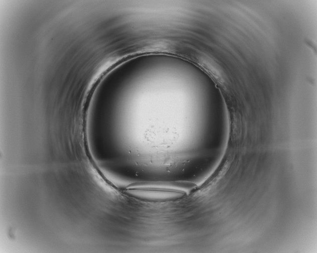 X0000096460800200801241406