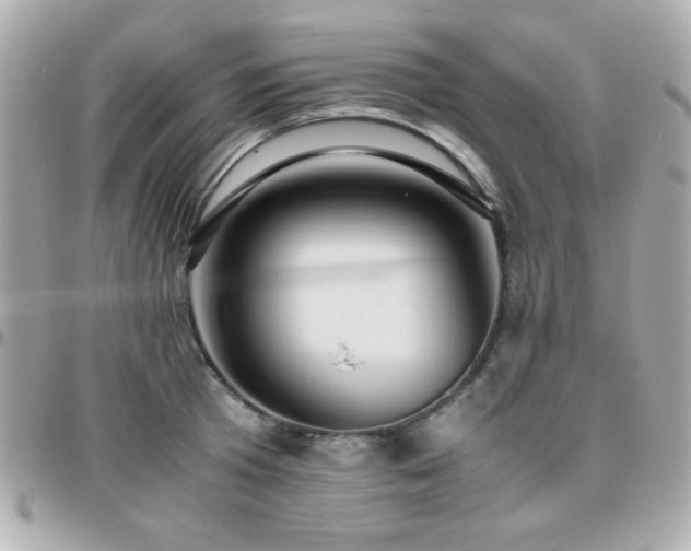 X0000096460801200801241405