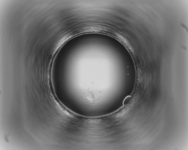 X0000096460802200801241405