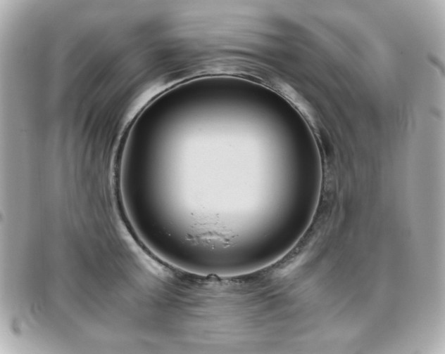 X0000096460803200801241405