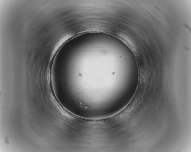 X0000096460804200801241405