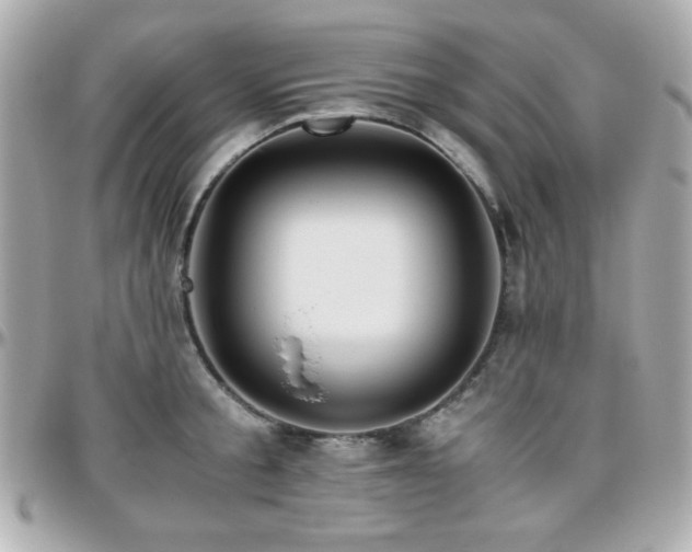 X0000096460805200801241405