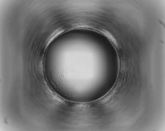 X0000096460806200801241405