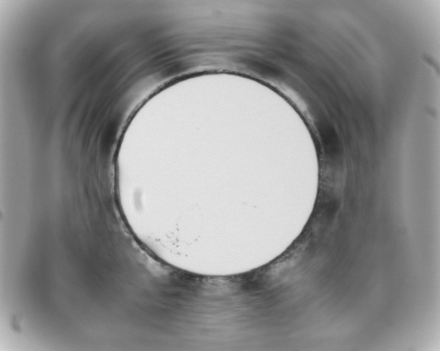 X0000096460807200801241405