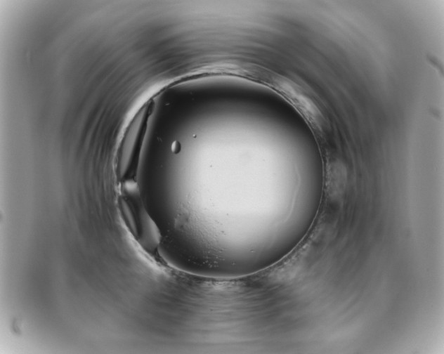 X0000096460808200801241405