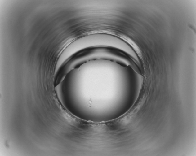 X0000096460809200801241405