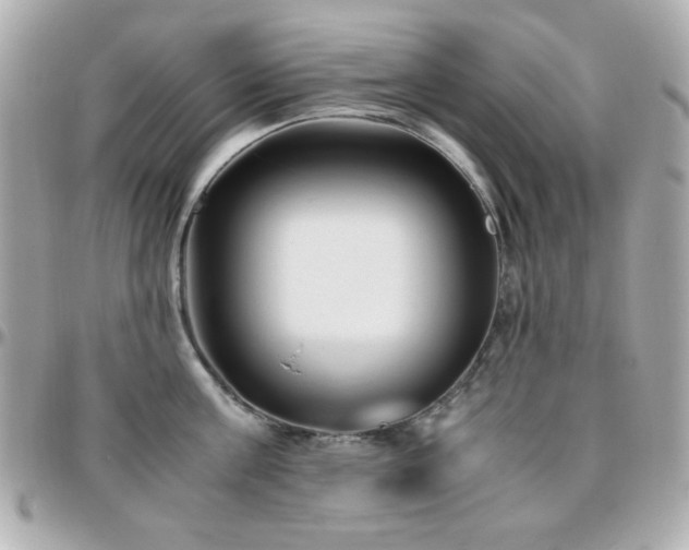 X0000096460811200801241405