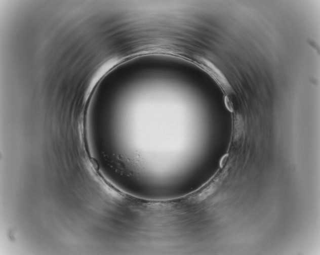 X0000096460812200801241405