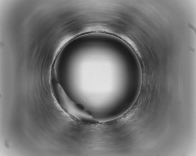 X0000096460815200801241405