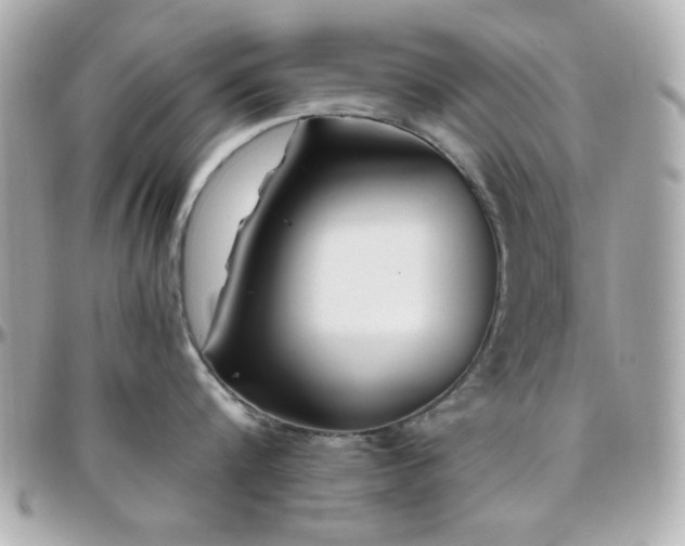 X0000096460816200801241405