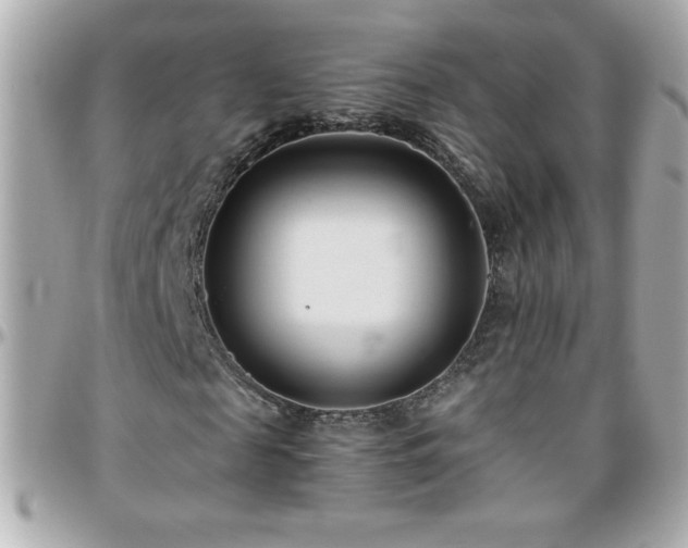 X0000096460817200801241405