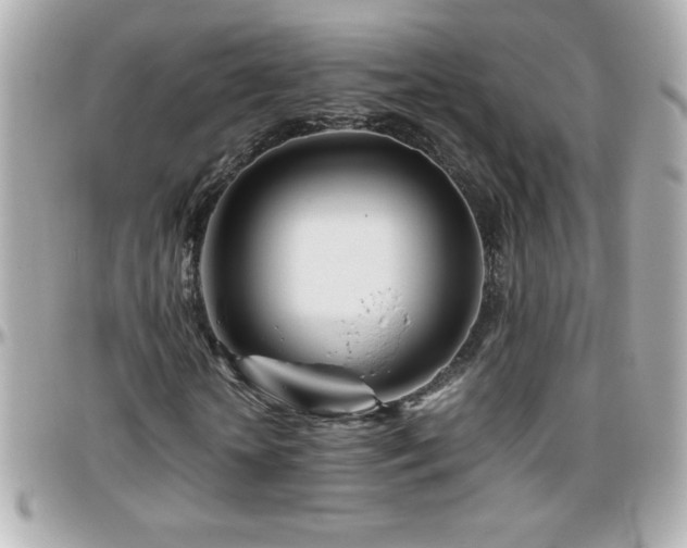 X0000096460818200801241405