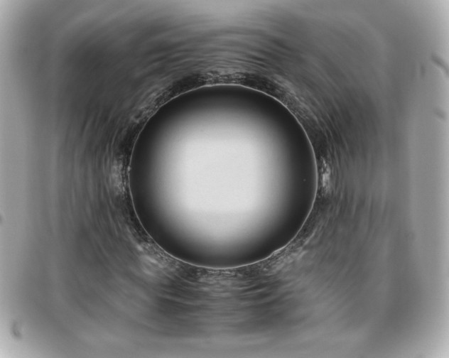 X0000096460819200801241405