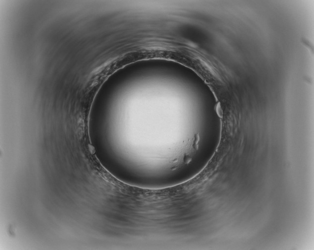 X0000096460821200801241405