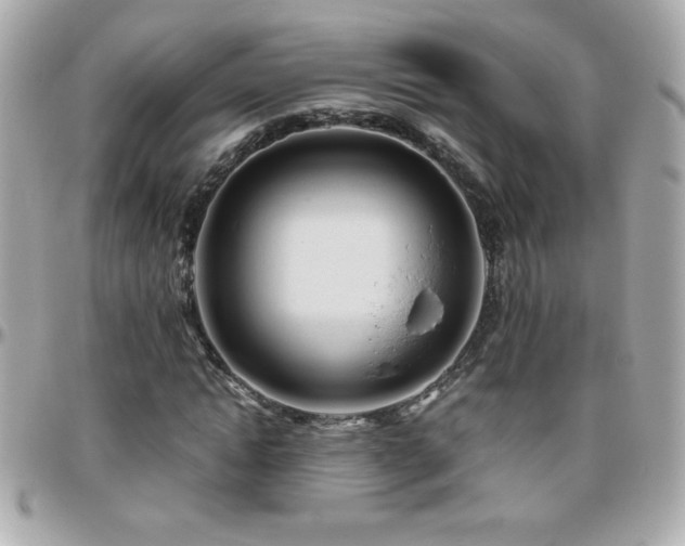 X0000096460822200801241405