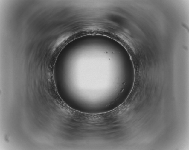 X0000096460823200801241405