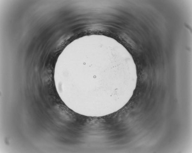 X0000096460824200801241405
