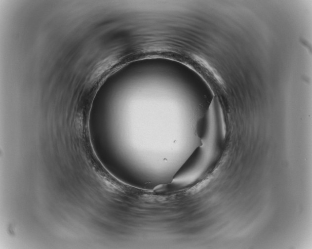 X0000096460825200801241405