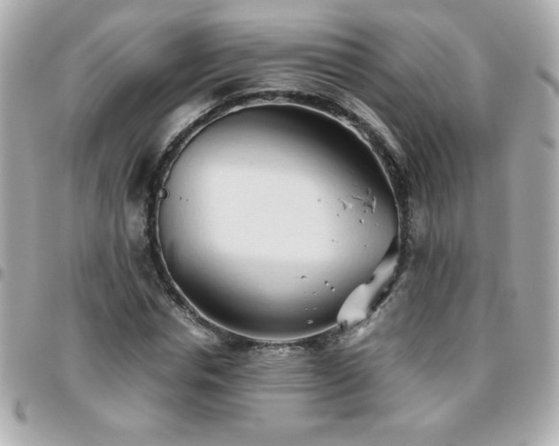 X0000096460826200801241405