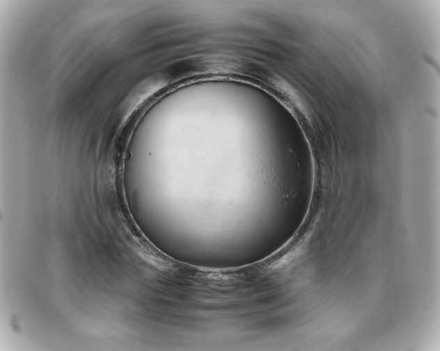 X0000096460827200801241405
