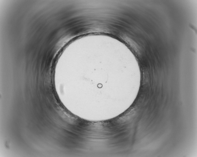 X0000096460828200801241405