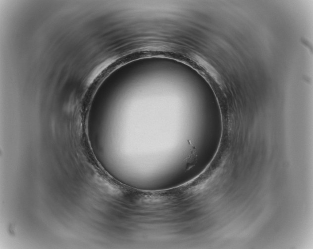 X0000096460829200801241405