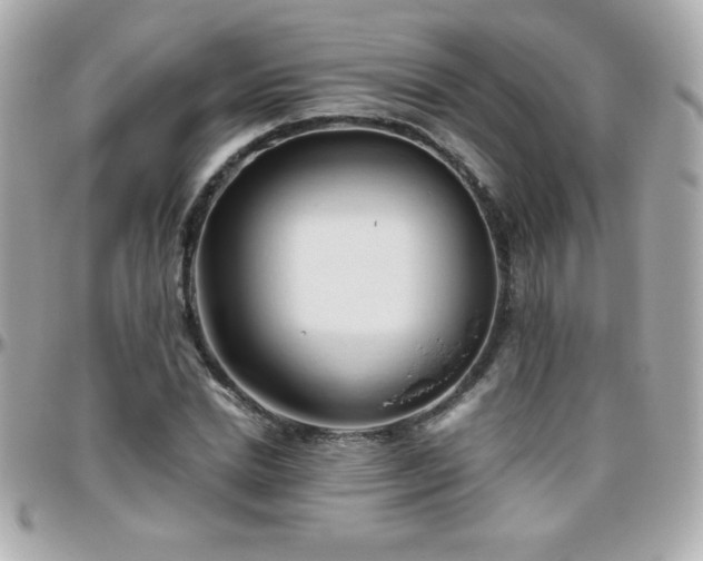 X0000096460830200801241405