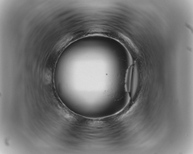 X0000096460833200801241405