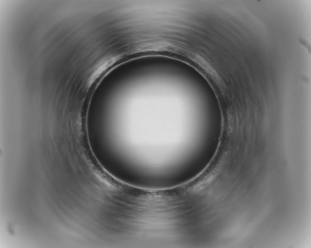 X0000096460834200801241405