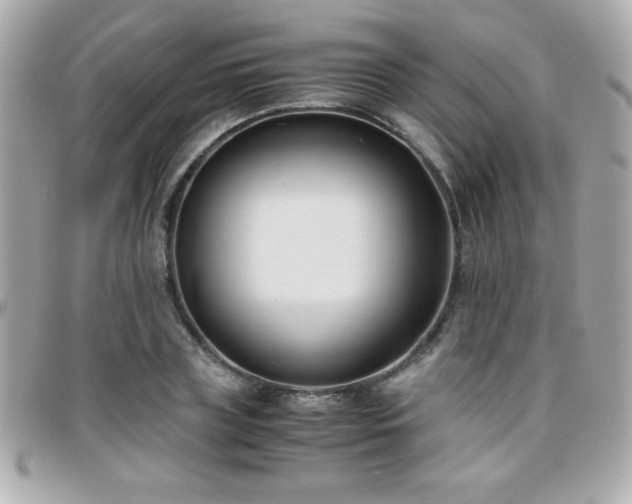 X0000096460835200801241405