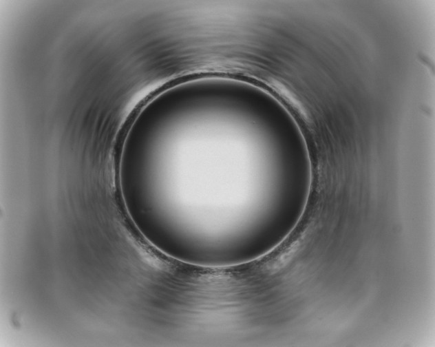 X0000096460838200801241405