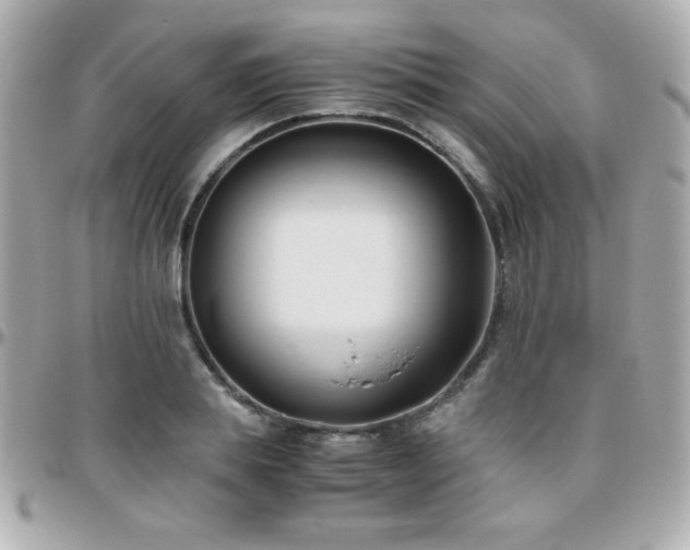 X0000096460839200801241405