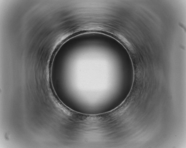 X0000096460840200801241405