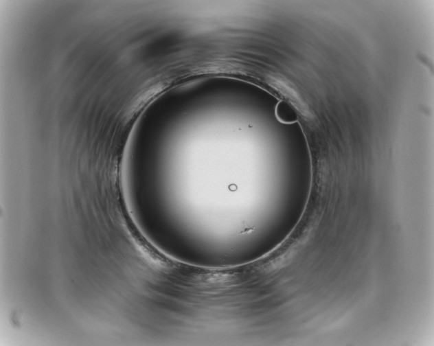 X0000096460841200801241405