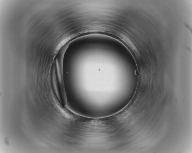 X0000096460842200801241405