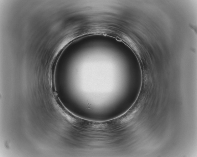 X0000096460843200801241405