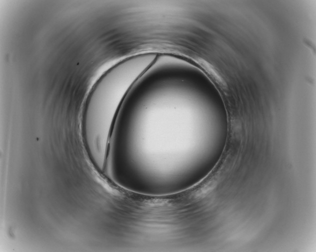 X0000096460846200801241405