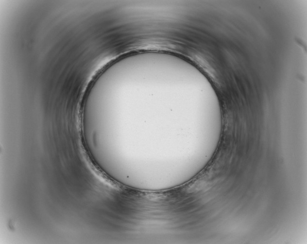 X0000096460848200801241405
