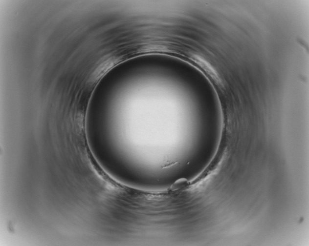 X0000096460849200801241405