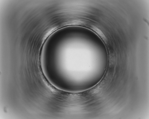 X0000096460850200801241405