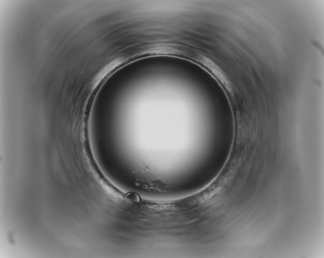 X0000096460853200801241405