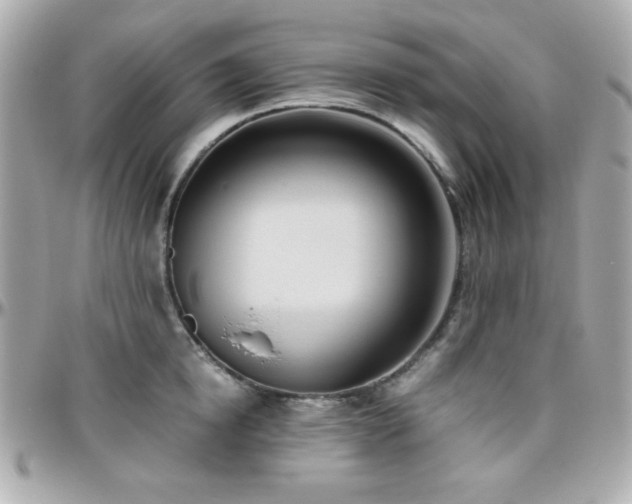 X0000096460854200801241405