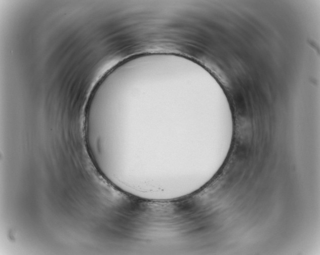 X0000096460856200801241405