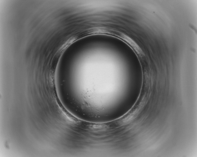 X0000096460857200801241405