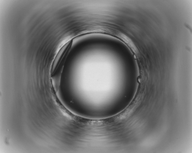 X0000096460858200801241405