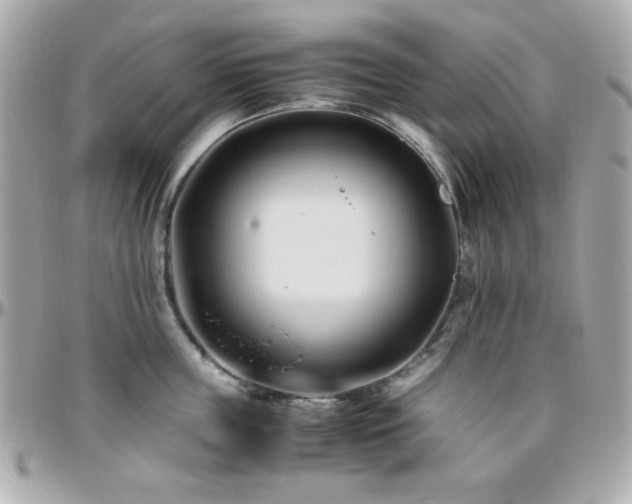 X0000096460859200801241405