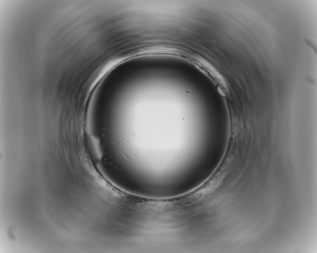 X0000096460860200801241405